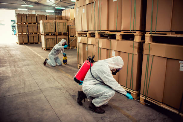 Trusted Falmouth, KY Pest Control Experts