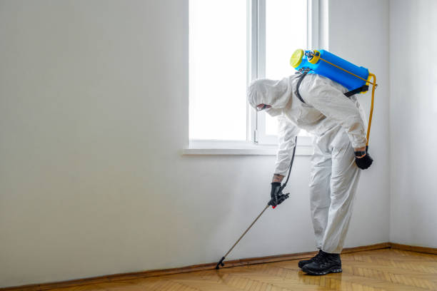 Best Mosquito Control Services  in Falmouth, KY