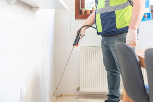 Best Affordable Pest Control Services  in Falmouth, KY