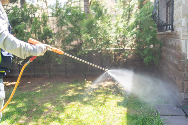 Best Spider Control Near Me  in Falmouth, KY
