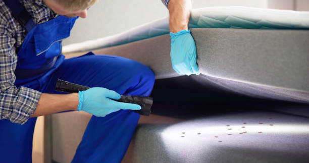 Best Pest Inspection Near Me  in Falmouth, KY